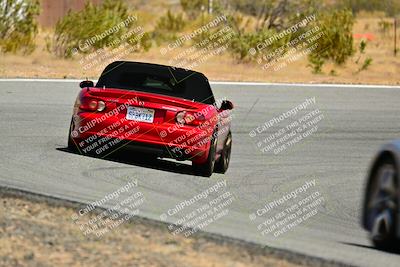 media/Jun-01-2025-VIP Trackdays (Sun) [[b20349723e]]/C Group/Session 2 (Turns 7 and 8)/